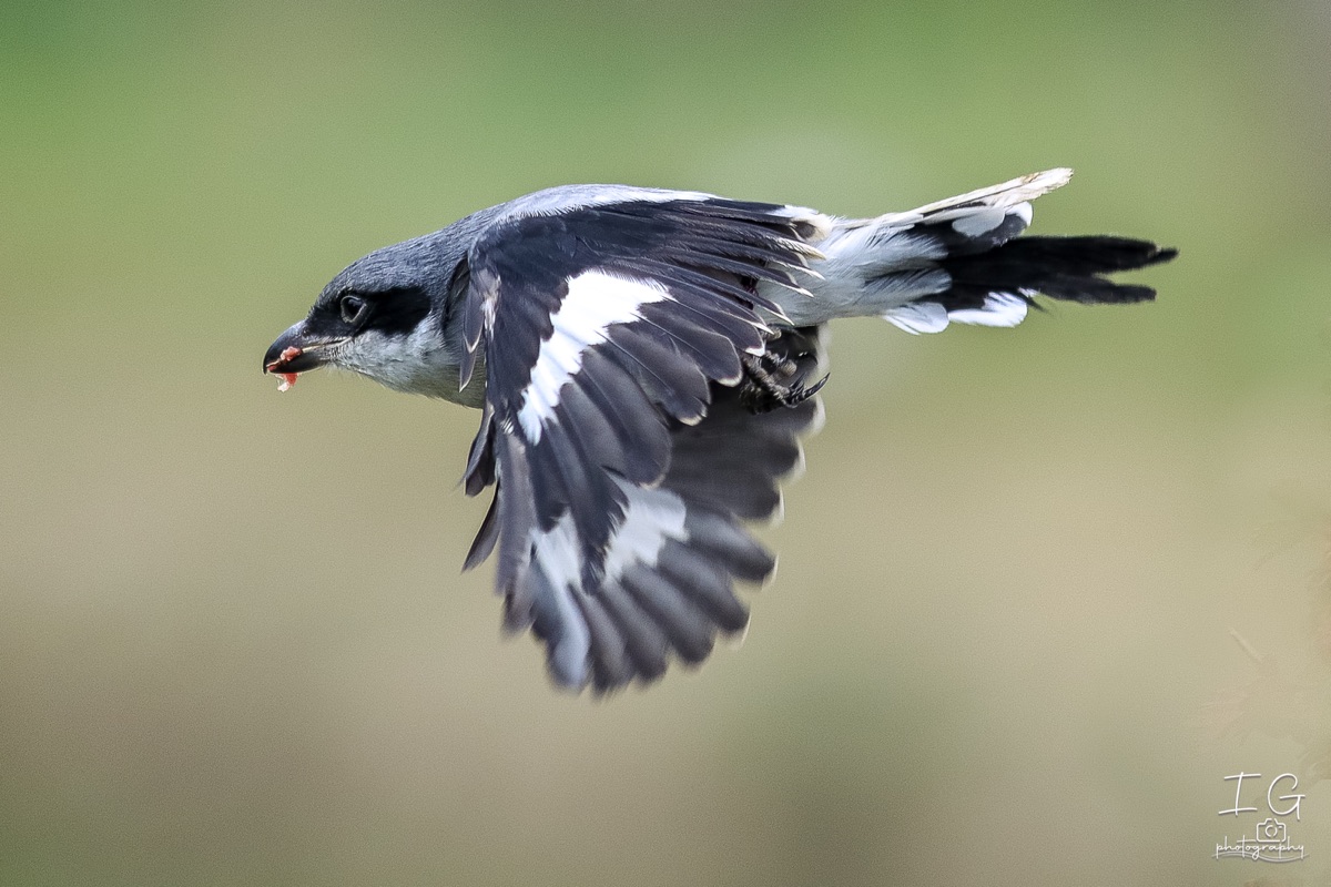 20211023 AK6I0427 insta